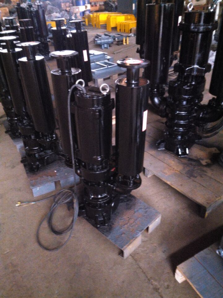 潛水羅茨鼓風(fēng)機